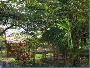 DSCF7465