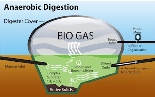 Pengertian Biogas Lengkap Dengan Manfaat dan Cara Membuatnya