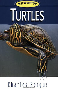 Turtles