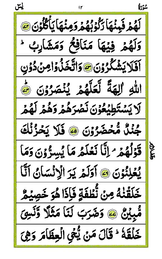 Surah Yaseen Page 12