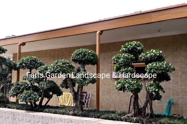 60+ inspirasi Model Gambar Taman Rumah Elegan dan Asri