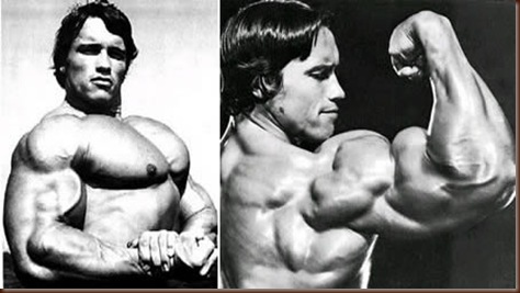 a384_Arnold
