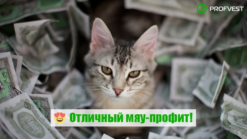 Повышение Рестарт Kitty-Boom.com