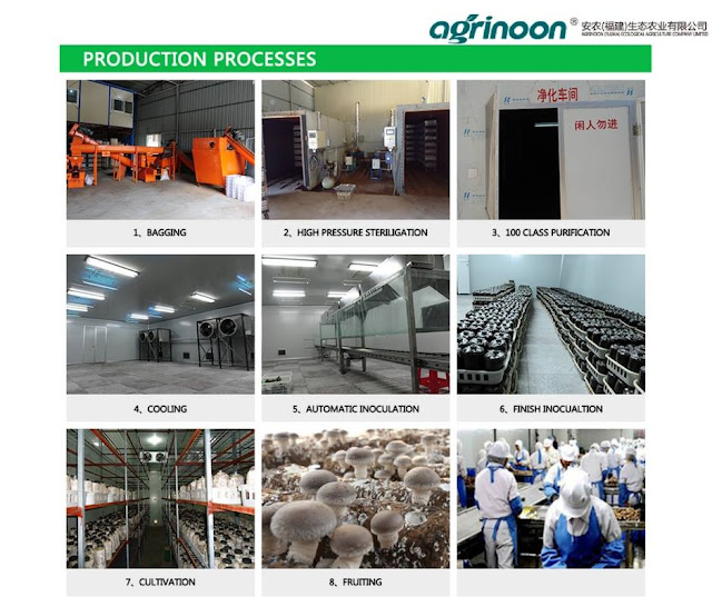 Production Process