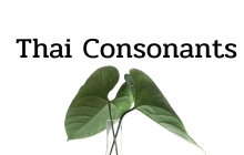 Thai Consonants