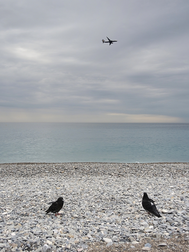 Nice: strandduiven