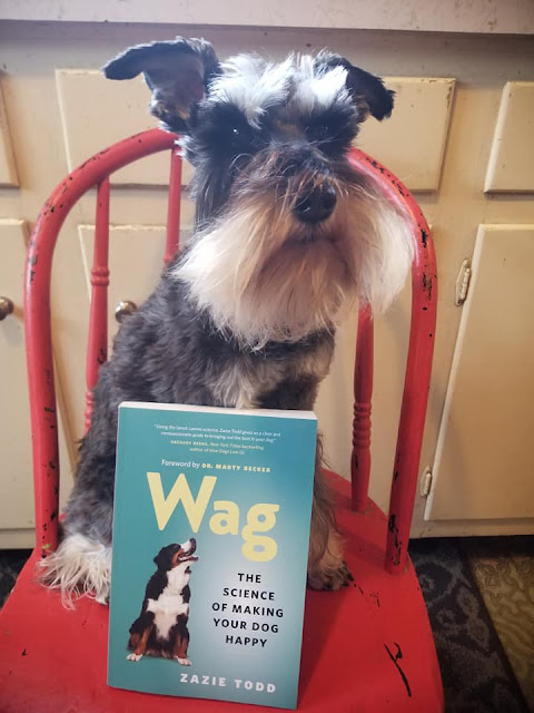 Wag Happy Dogs: A Photo Post (Part 2)