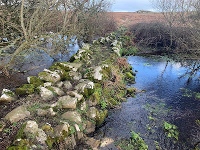 A wall between two pools of water. The right hand water level is much lower than that on the left.