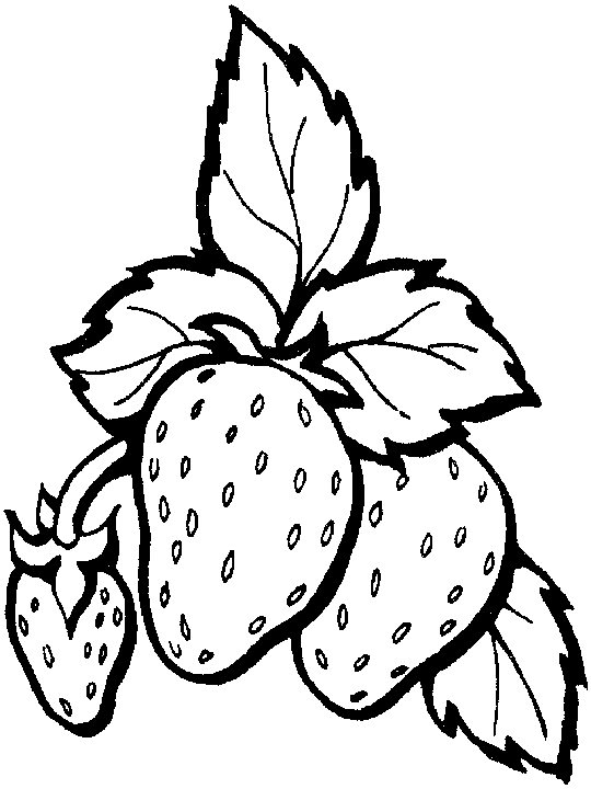 fresh strawberry coloring pages
