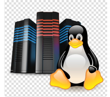 Pilih Linux Hosting atau Windows Hosting|Cara Pilih Linux Hosting atau Windows Hosting|Tentang Linux Hosting|Windows Hosting|Linux dan Windows Hosting