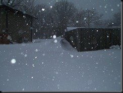 Blizzard 2011 - 16