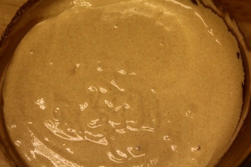 einkorn-levain0005