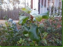 DSCN0096