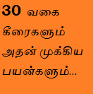 30 வகை கீரைகளும் அதன் முக்கிய பயன்களும்.. 30 Vagai Keeraigalum avattrin payangalum