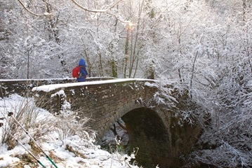 Ponte sul Bidente