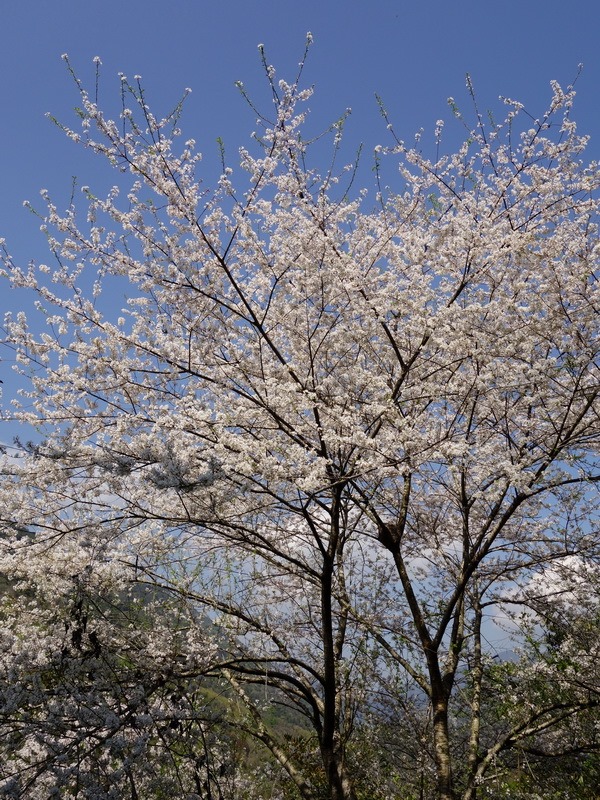 2013_0223-0224 偽‧雲科大同學_017