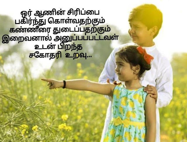 Sister Quotes In Tamil