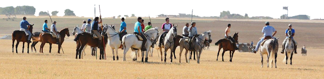 Caballistas en las Fiestas de San Esteban