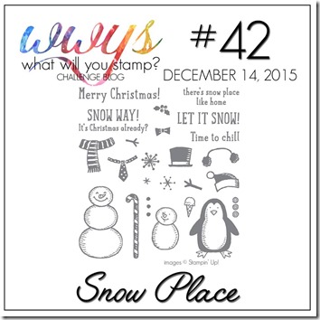 wwys snow place