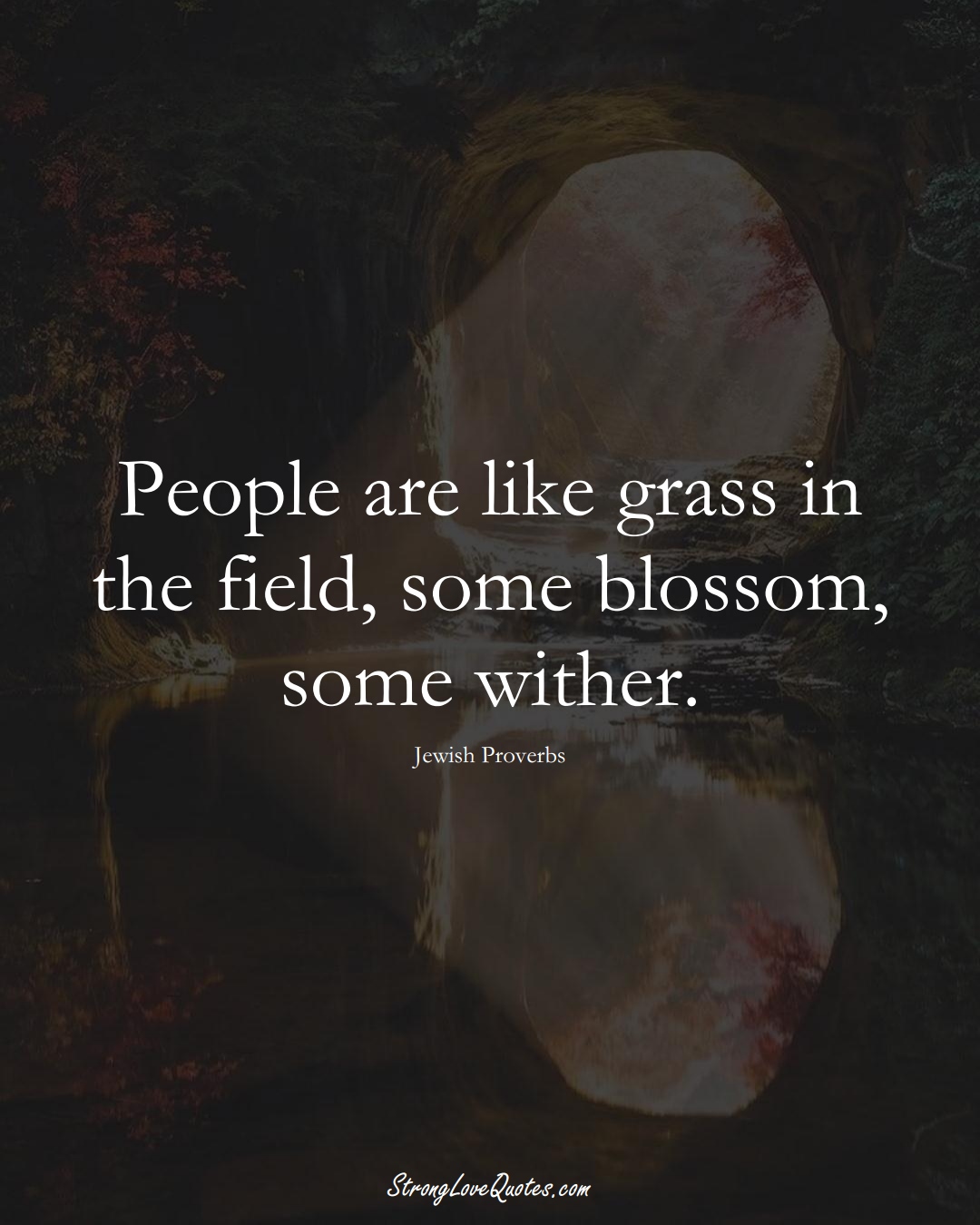 People are like grass in the field, some blossom, some wither. (Jewish Sayings);  #aVarietyofCulturesSayings