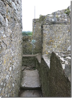 IMG_6465