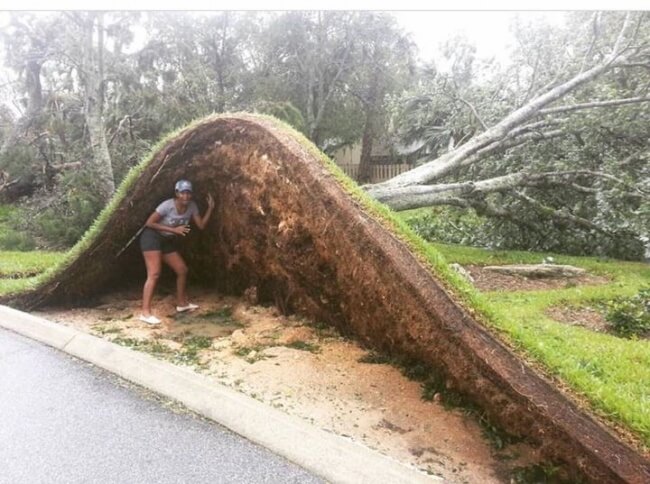 18 Pictures That Show How Nature Secretly Laughs At Us - Hurricane Matthew changed the landscape design just a little.