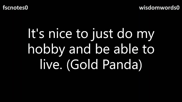 It's nice to just do my hobby and be able to live. (Gold Panda)