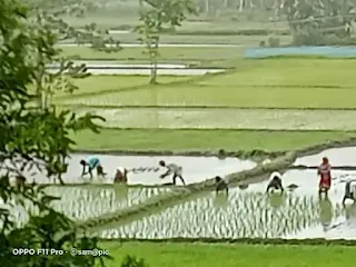 Monsoon In West Bengal