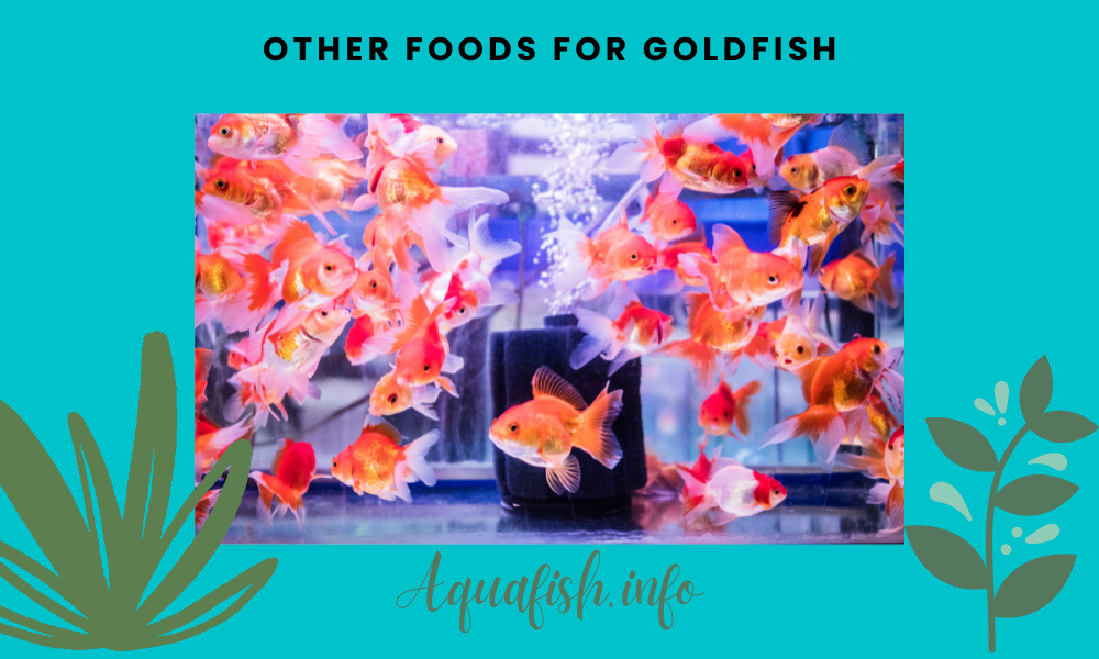 Other Foods For Goldfish