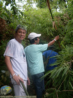 Uncle-Sam-Amante-Mt-Mayapay-Butuan-City