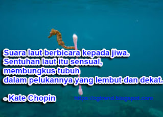 10-ucapan-selamat-hari-laut-internasional-2023-cocok-dibagikan-ke-semua-media-sosial