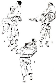 techniques judo