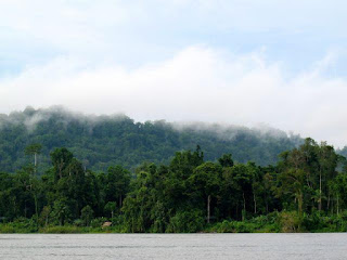 https://www.google.com/url?sa=i&url=https%3A%2F%2Fwri-indonesia.org%2Fid%2Fblog%2F5-langkah-perencanaan-untuk-melindungi-dan-merestorasi-hutan-indonesia&psig=AOvVaw3dc98u6CASGgtZh2hYT6rV&ust=1612368016616000&source=images&cd=vfe&ved=0CAIQjRxqFwoTCOC-5vzJy-4CFQAAAAAdAAAAABAV