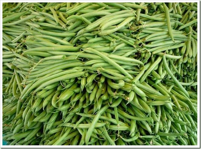 beans