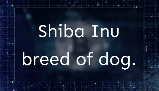 Siba Inu is a cryptocurrency for dog lovers. Learn about Siba Inu Cryptocurrency and how it is used in the digital world. Siba Inu Cryptocurrency is a company that allows you to buy, sell, and trade cryptocurrency.