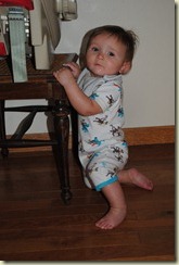 Pulling up (6 months)