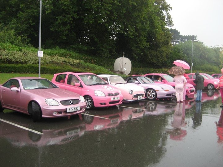 Pink Car Rally 2010