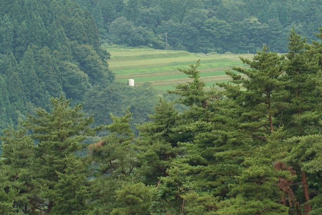 鳥取県西伯郡大山町赤松 赤松池