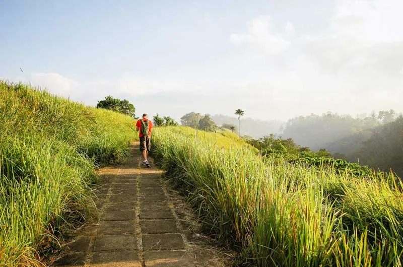 Rute Lokasi Campuhan Ridge Walk Ubud