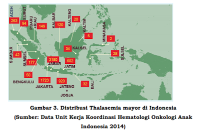 Thalassemia di Indonesia,prevalensi thalasemia di indonesia,penderita thalassemia di indonesia,kasus thalasemia di indonesia,beta thalassemia di indonesia,jumlah penderita thalassemia di indonesia,skrining thalassemia di indonesia,penelitian thalassemia di indonesia,prevalensi thalasemia di indonesia pdf,prevalensi thalasemia di dunia pdf,penderita thalasemia di indonesia,data penderita thalasemia di indonesia,jumlah penderita thalasemia di indonesia,jumlah penderita thalasemia di indonesia tahun 2016 pdf,jumlah penderita thalasemia di indonesia tahun 2013,jumlah penderita thalasemia di indonesia tahun 2016,kasus penyakit thalasemia di indonesia