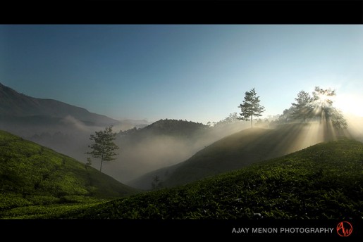 Astonishing Photography by Ajay Menon