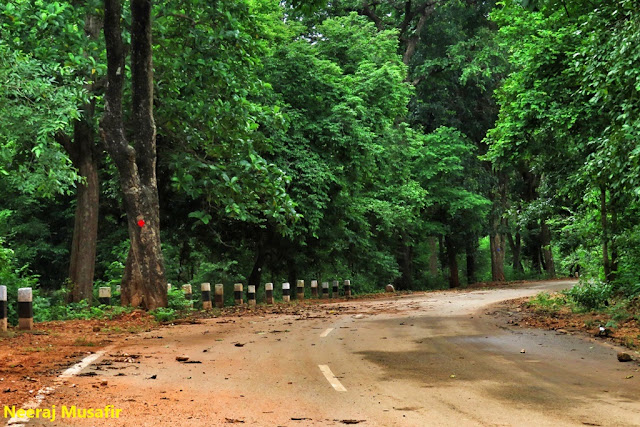 बस्तर से अबूझमाड़