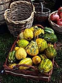 Un cesto di coloratissime zucche ornamentali. Foto di Andrea Mangoni.