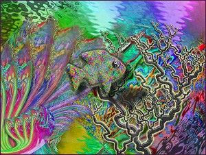 psychedelic art by gvan42 - Gregory Vanderlaan - Digital Eye Candy - Magic Mushroom Visions