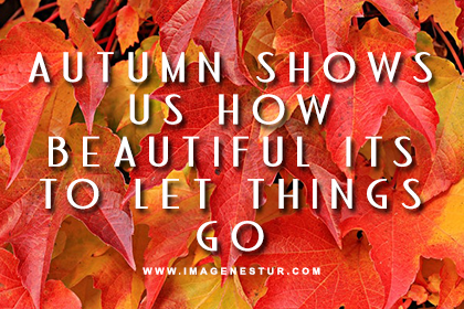 autumn-fall-quotes