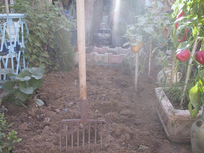 i am working on my garden soil