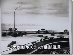 Gamera Giant Rats Movie