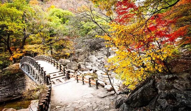 Top Rated Tourist attraction in South Korea