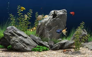 Dream Aquarium: Screensaver Aquarium Virtual