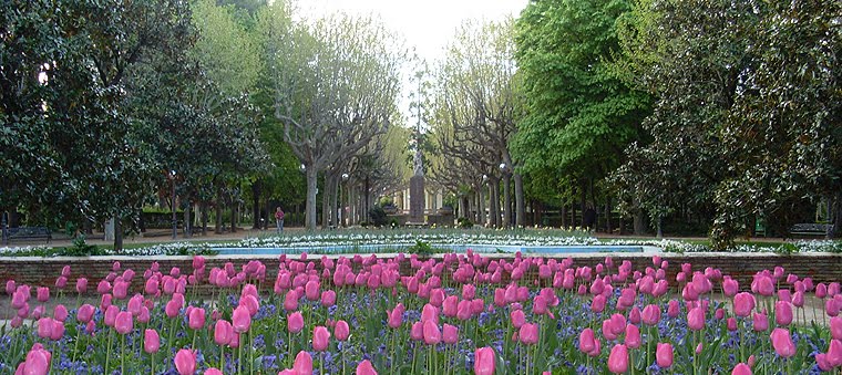 Parque de Miguel Servet